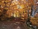 Automne_07_Aubrac_Guy Andissac